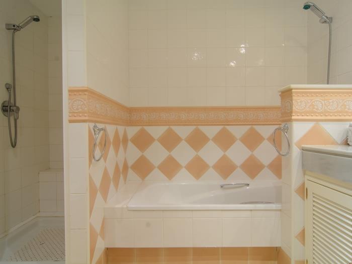 Walk in shower and bathtub with shower